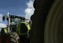 Loi Duplomb : des agriculteurs menacent de vider les rayons des produits contenant des néonicotinoïdes dans le Bas-Rhin
