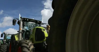 Loi Duplomb : des agriculteurs menacent de vider les rayons des produits contenant des néonicotinoïdes dans le Bas-Rhin