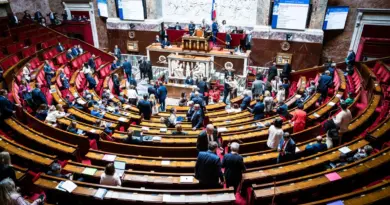 Loi Duplomb : le bloc central opposé aux néonicotinoïdes ne veut pas être privé de débat