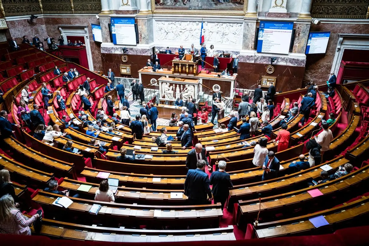 Loi Duplomb : le bloc central opposé aux néonicotinoïdes ne veut pas être privé de débat