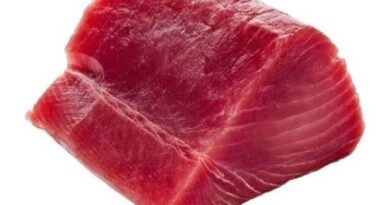 Longe de thon albacore décongelée
