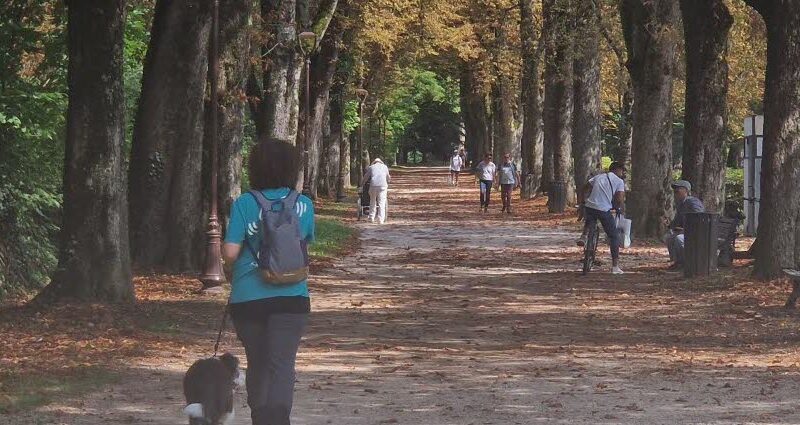 Lons-le-Saunier. Une vie de chien à Lons: la ville les brosse-t-elle dans le sens du poil ?