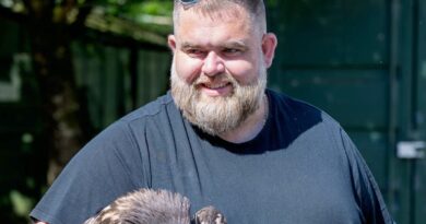 Lorraine. Été 2025, une épreuve de survie pour les animaux sauvages
