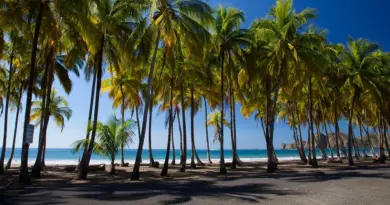 Guadeloupe, Basse-Terre, Pointe-à-Pitre, volcano, beach, palm, waterfall, Creole, island
