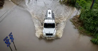 BFM CLIMAT