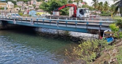 Lutte contre l'habitat indigne : destruction d'un abri de fortune sous le Pont Francisco de Fort-de-France