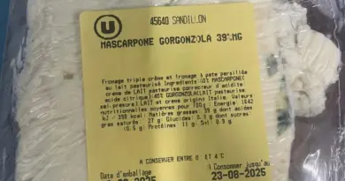 MASCARPONE GORGONZOLA 39% MG