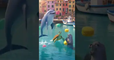 Macarons Overboard!Dolphins Join the Feast !(Ocean’s Sweetest Party!) #cool #funny