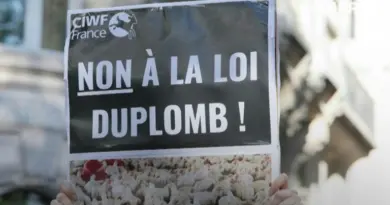 Macron promulgue la loi Duplomb après la censure partielle du Conseil constitutionnel