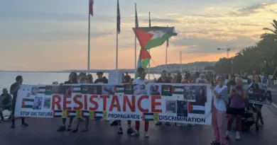 Manifestation pour la Palestine sur la Promenade des Anglais, on vous fait le point