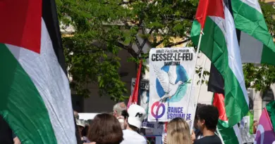Manifestation : un nouvel appel à la paix à Gaza sur la Promenade des Anglais - Nice Premium