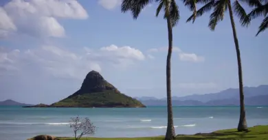 Polynésie française, Tahiti, Bora Bora, lagoon, beach, palm, coral, overwater, island