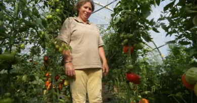 Maraîchage en Mayenne : après les années de disette, de nouvelles idées germent au Jardin d'Aline