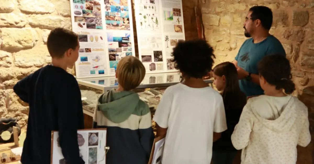 Marcigny. Un atelier de fouilles paléontologiques pour enfants
