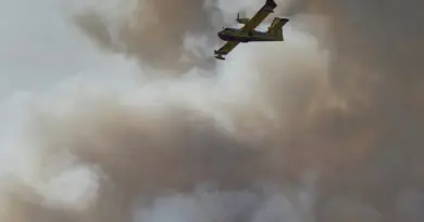 Maritimes | La lutte contre les incendies de forêt continue