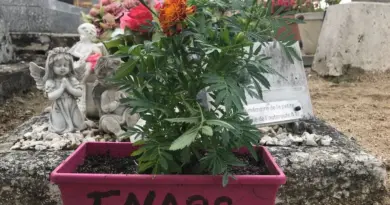 Martyre de l'A10 : 38 ans après, une marche blanche pour exiger un procès dès 2025