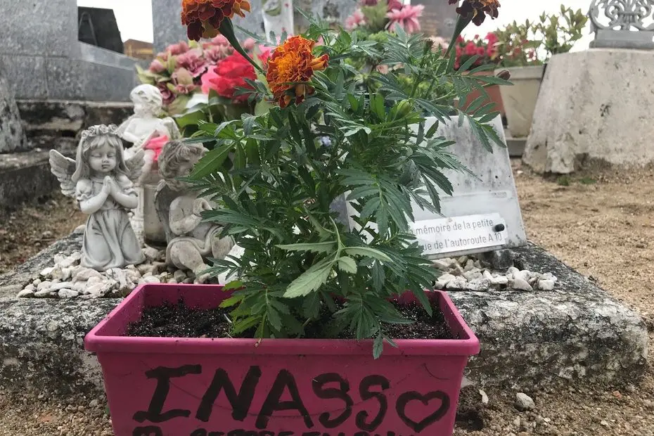 Martyre de l'A10 : 38 ans après, une marche blanche pour exiger un procès dès 2025