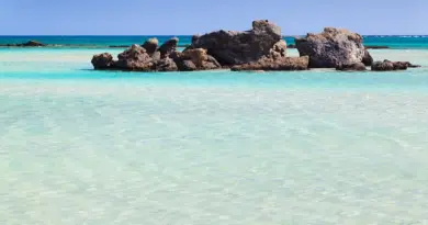 Mayotte, Mamoudzou, lagoon, beach, coral, mangrove, ylang-ylang, island, Creole, nature