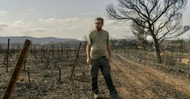 Méga-feu. Des viticulteurs solidaires donnent du raisin à ceux qui ont tout perdu : "Il faut que les Corbières continuent à vivre"