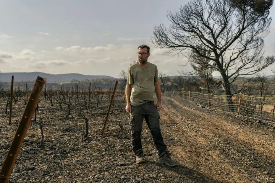 Méga-feu. Des viticulteurs solidaires donnent du raisin à ceux qui ont tout perdu : "Il faut que les Corbières continuent à vivre"