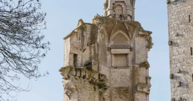 Mehun-sur-Yèvre, entre patrimoine et artisanat