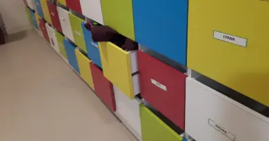 "Mes petits loups ne sont pas coincés à la maison" : à Grenoble, une crèche reste ouverte au mois d'août - ici