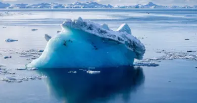 Métaux lourds, fonte des neiges… Pourquoi le tourisme menace de plus en plus l’Antarctique ?