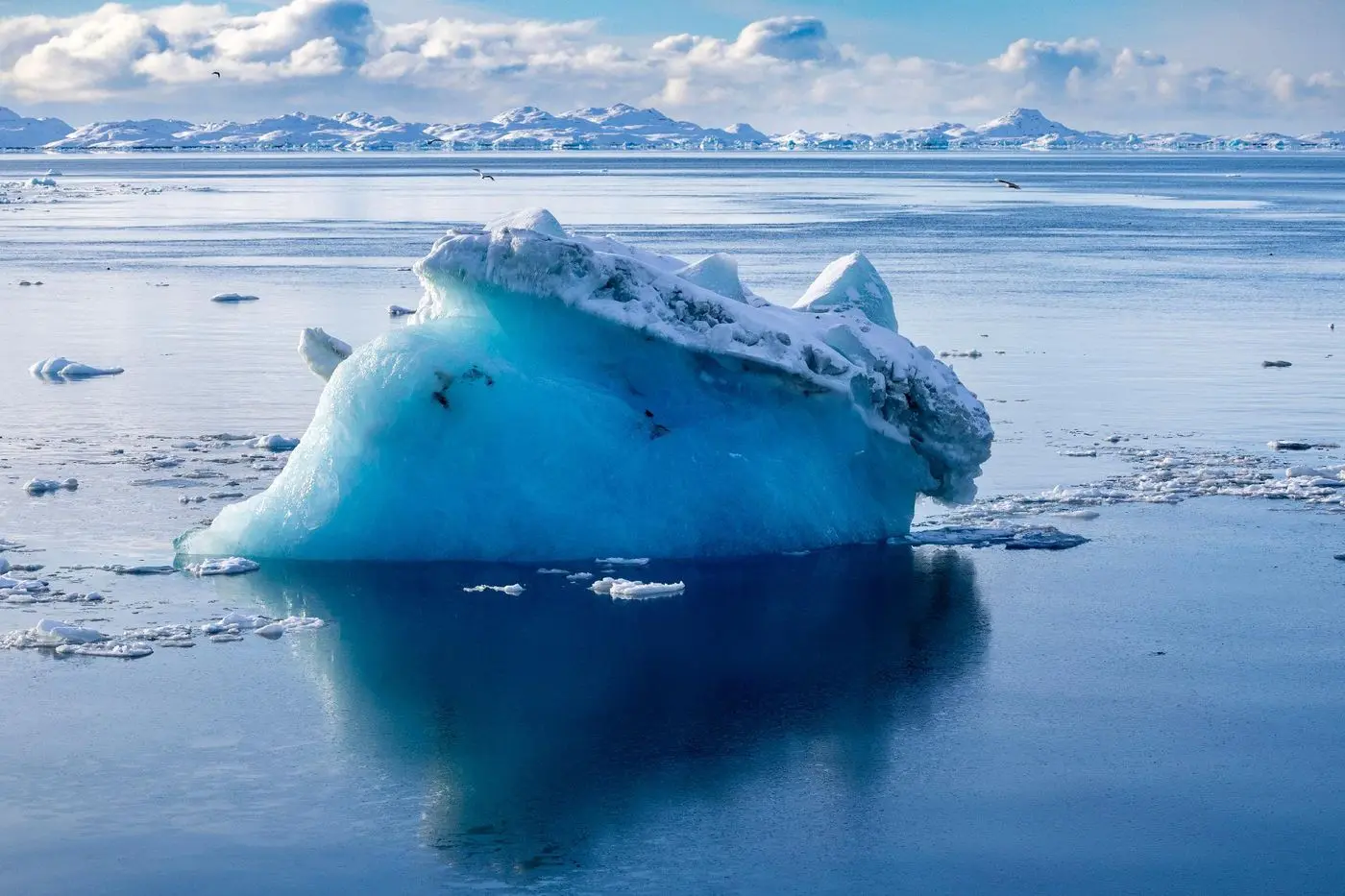 Métaux lourds, fonte des neiges… Pourquoi le tourisme menace de plus en plus l’Antarctique ?