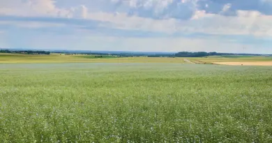 Météo. Quel temps dans les Hauts-de-France pour ce lundi 25 août 2025 ?