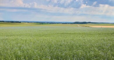 Météo. Quel temps dans les Hauts-de-France pour ce lundi 25 août 2025 ?