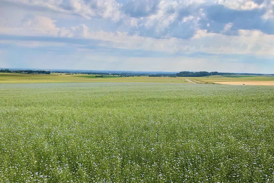 Météo. Quel temps dans les Hauts-de-France pour ce lundi 25 août 2025 ?