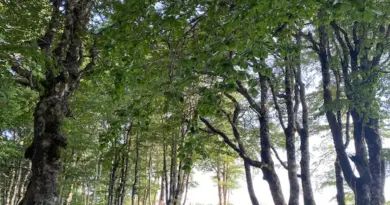 Météo de la semaine : fin de l'épisode de canicule dès demain, retour des orages
