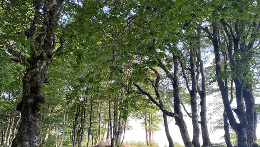 Météo de la semaine : fin de l'épisode de canicule dès demain, retour des orages
