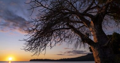 Météo : du beau temps, du vent et quelques nuages pour ce mardi