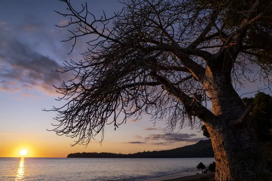Météo : du beau temps, du vent et quelques nuages pour ce mardi