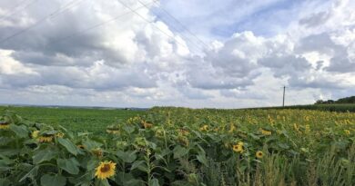 Météo en Belgique : retour des averses ce jeudi, dans la douceur - RTBF Actus