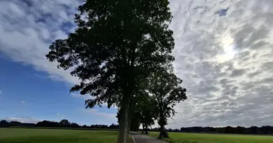 Météo en Belgique : samedi gris, dimanche plus lumineux - RTBF Actus