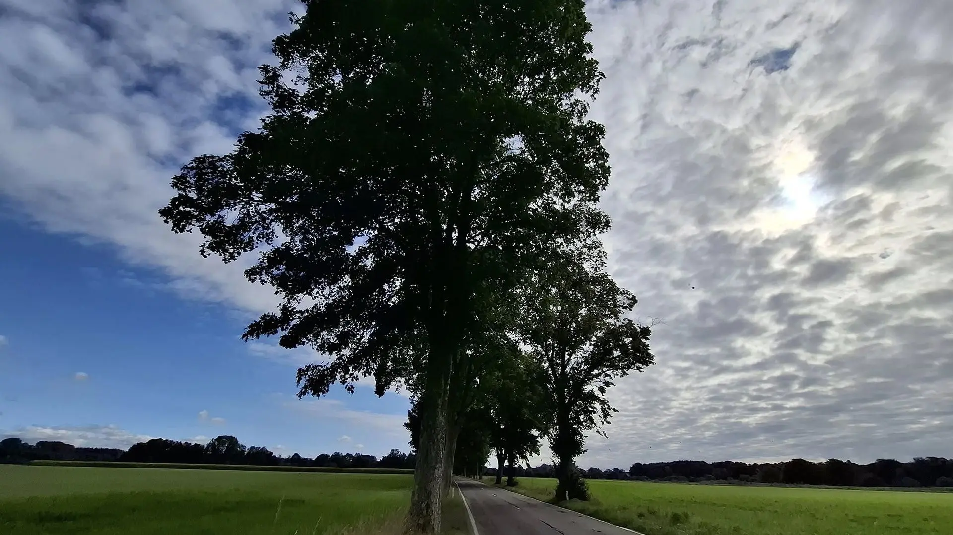 Météo en Belgique : samedi gris, dimanche plus lumineux - RTBF Actus