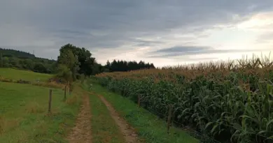 Météo en Belgique : souvent gris ce samedi matin, plus d’éclaircies attendues l’après-midi - RTBF Actus