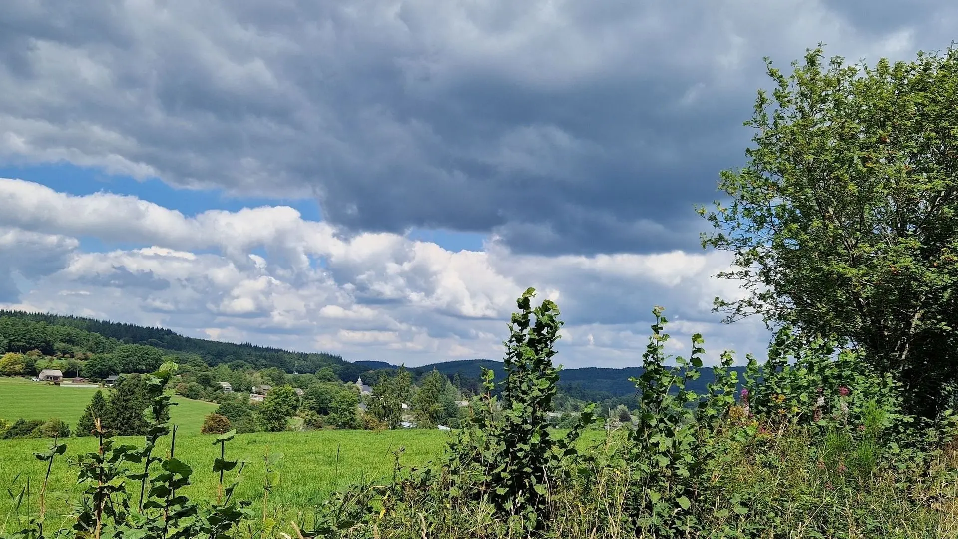 Météo en Belgique : temps gris et plus frais ce vendredi - RTBF Actus