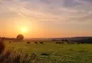 Météo en Belgique : un 15 août sous le soleil et la chaleur, jusqu’à 30°C - RTBF Actus