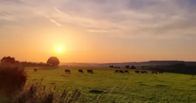 Météo en Belgique : un 15 août sous le soleil et la chaleur, jusqu’à 30°C - RTBF Actus