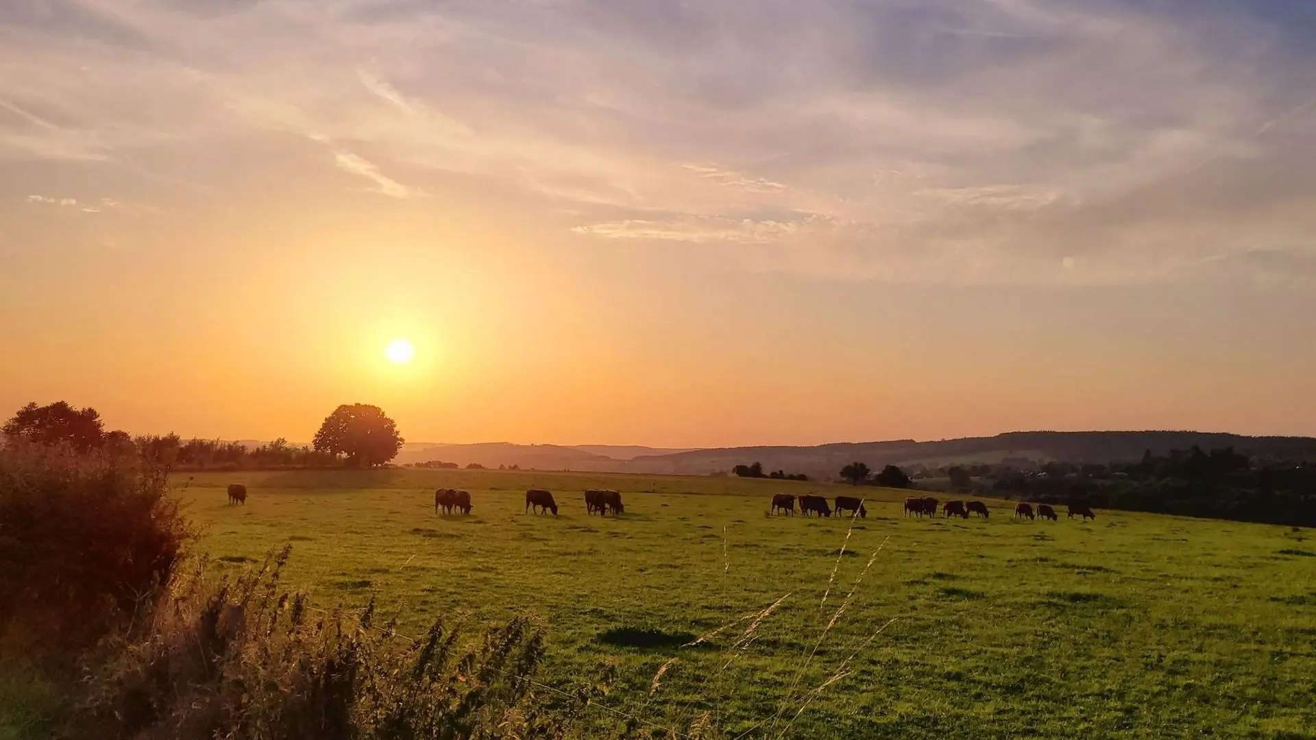 Météo en Belgique : un 15 août sous le soleil et la chaleur, jusqu’à 30°C - RTBF Actus