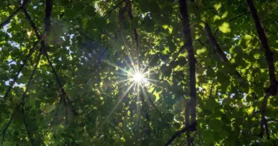 Météo : soleil, quelques nuages et averses, températures fraîches le matin, quel temps pour ce week-end ? - ici