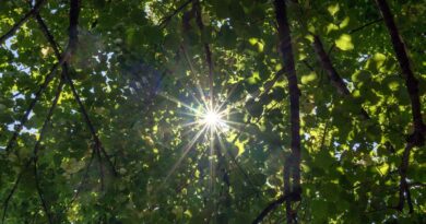 Météo : soleil, quelques nuages et averses, températures fraîches le matin, quel temps pour ce week-end ? - ici