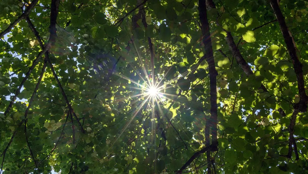 Météo : soleil, quelques nuages et averses, températures fraîches le matin, quel temps pour ce week-end ? - ici