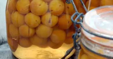 Mirabelles au sirop de Cyril Lignac