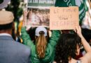 Mobilisation contre la loi Duplomb : un été entre espoirs et désillusions