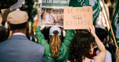 Mobilisation contre la loi Duplomb : un été entre espoirs et désillusions
