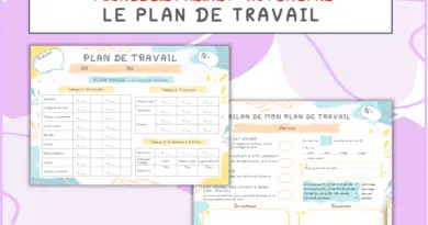Mon plan de travail cycle 3